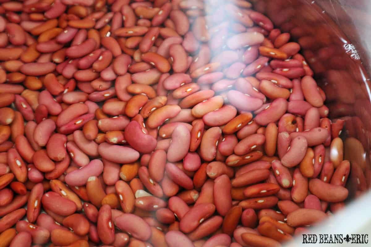 How Do You Soak Beans? Red Beans and Eric